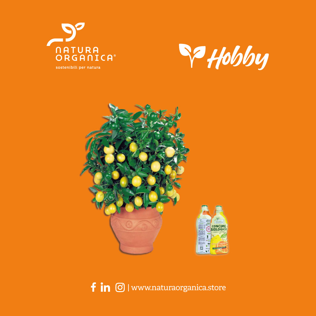 Concime LIQUIDO Biologico LIMONI e AGRUMI NaturaOrganica®