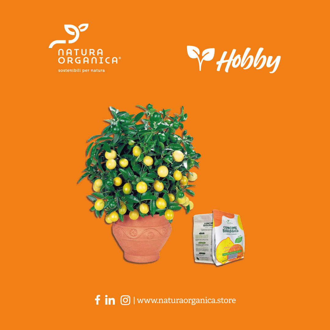 Concime Biologico LIMONI e AGRUMI